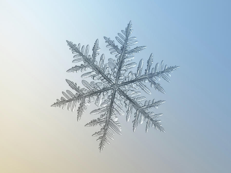Winter Photograph - Snowflake photo - Silverware by Alexey Kljatov