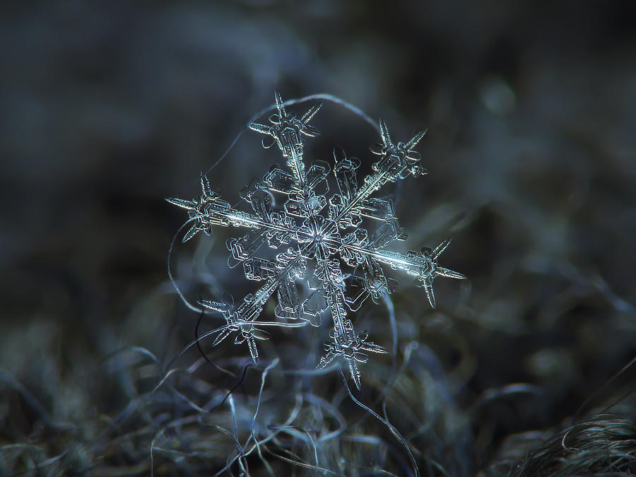 Snowflake photo - Starlight Photograph by Alexey Kljatov