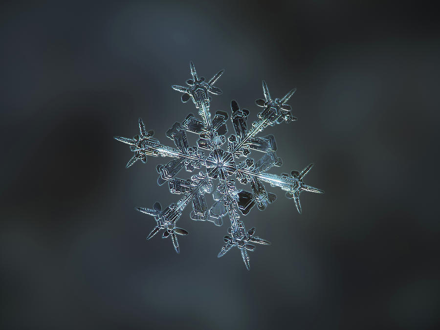 Snowflake photo - Starlight II Photograph by Alexey Kljatov