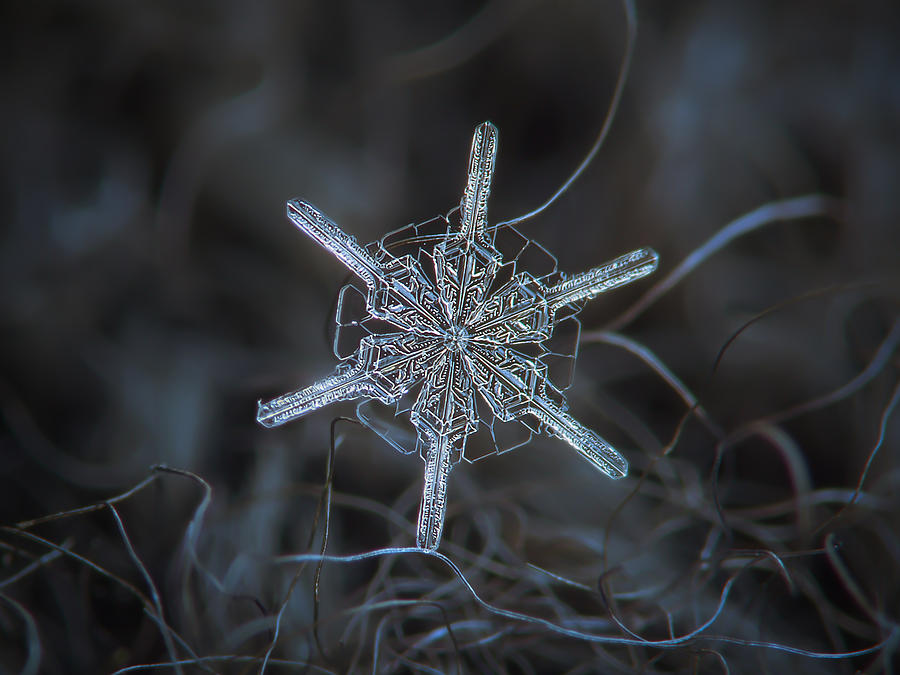 Winter Photograph - Snowflake photo - Steering wheel by Alexey Kljatov