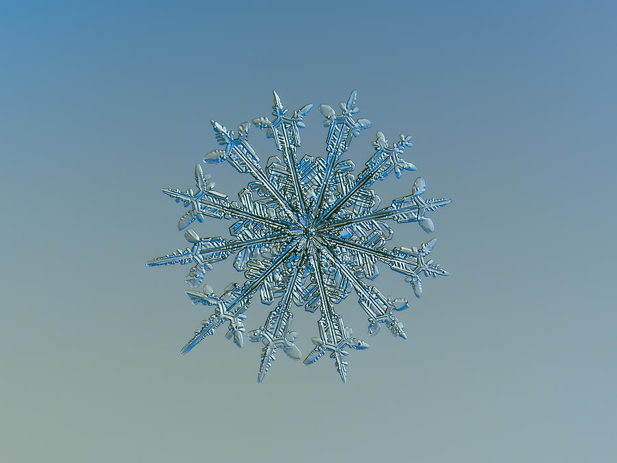 Snowflake photo - Twelve months Photograph by Alexey Kljatov