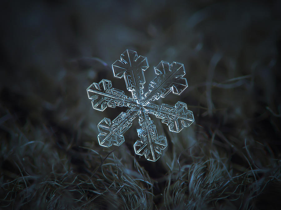 Snowflake photo - Vega Photograph by Alexey Kljatov
