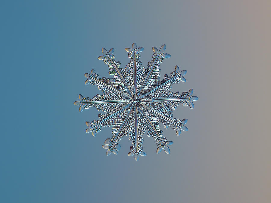 Snowflake photo - Wheel of time Photograph by Alexey Kljatov