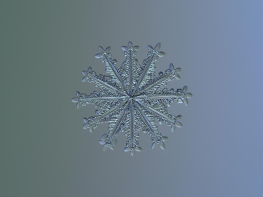 Snowflake photo - Wheel of time II Photograph by Alexey Kljatov