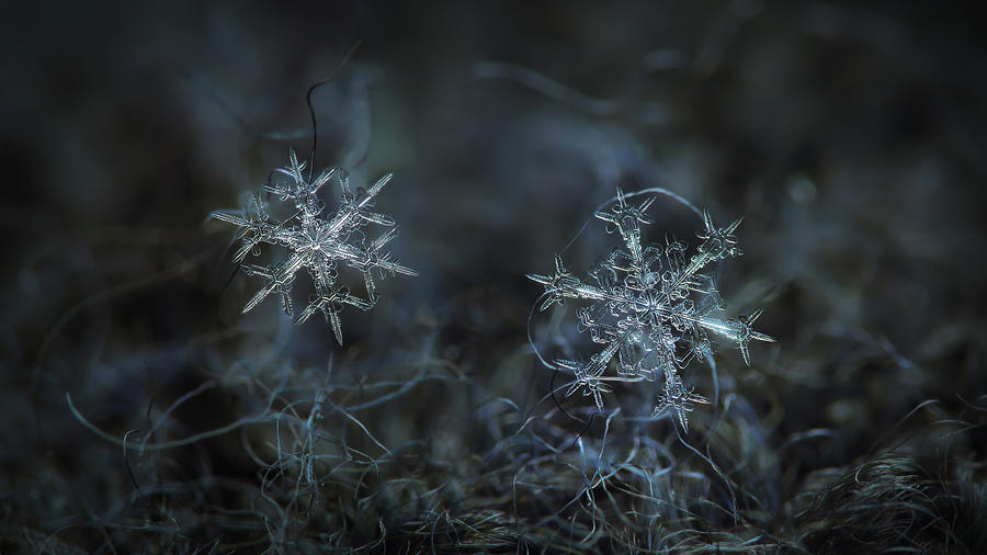 Snowflake photo - When winters meets - 2 Photograph by Alexey Kljatov