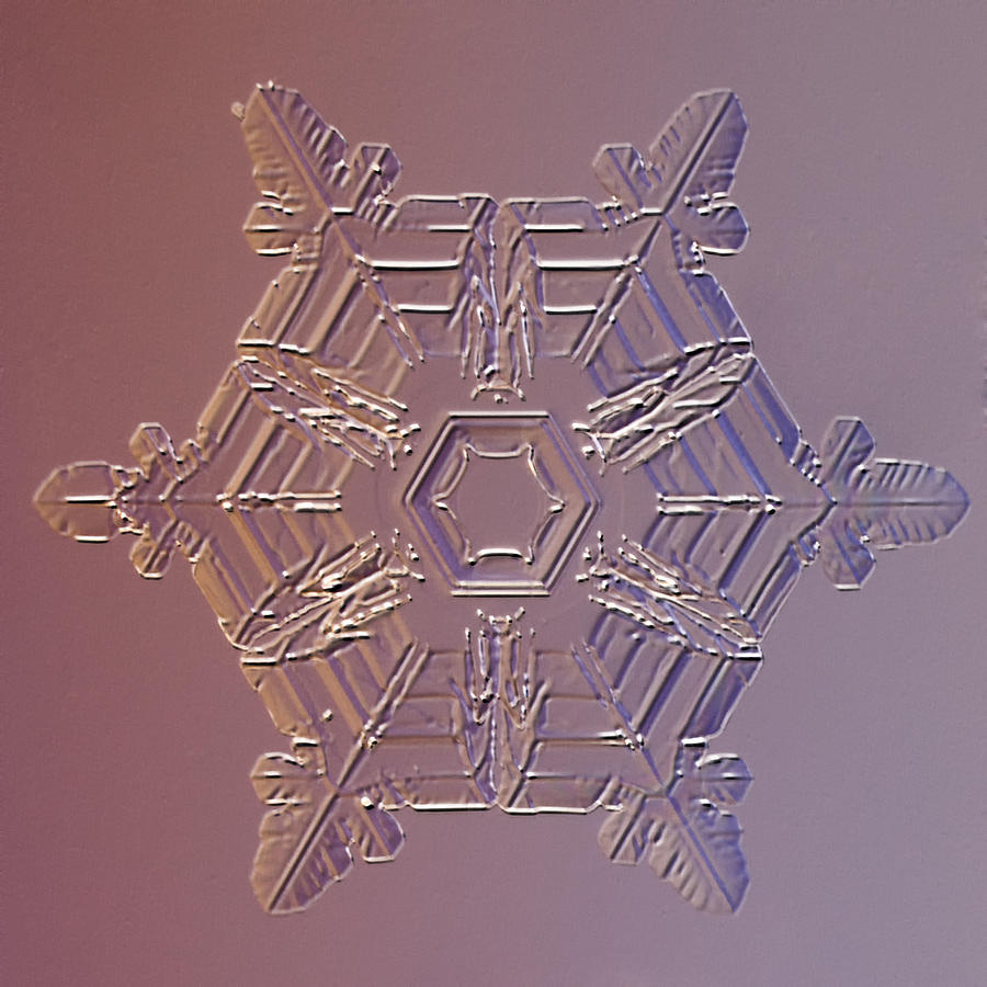Unique Photograph - Snowflake Procyon by Paul Burwell