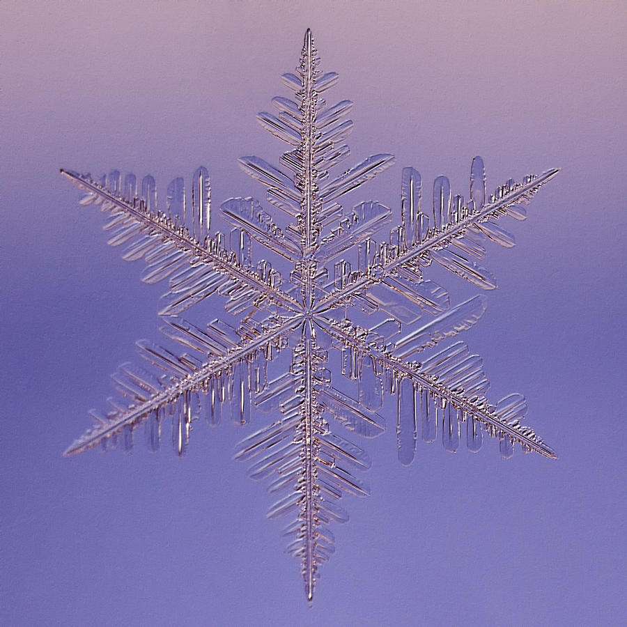 Unique Photograph - Snowflake Saiph - 2010 by Paul Burwell