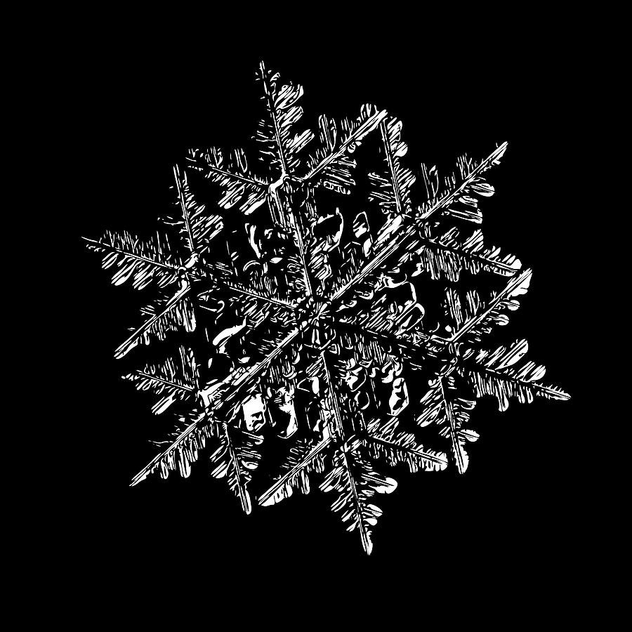 Snowflake vector - 2017-02-13_3 black Digital Art by Alexey Kljatov