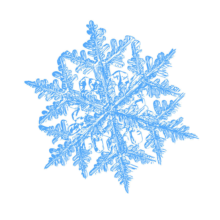 Snowflake Vector - 2017-02-13_3 White Digital Art