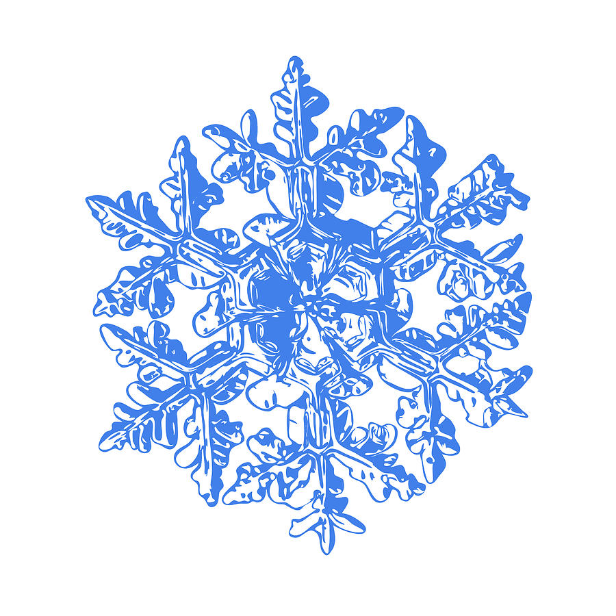 Snowflake Vector - Gardeners Dream White Version Digital Art