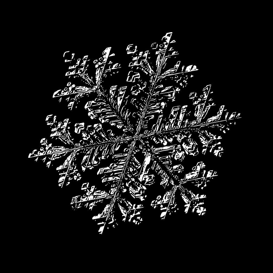 Snowflake vector - Hyperion black Digital Art by Alexey Kljatov