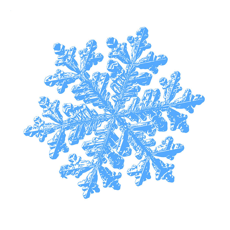 Nature Digital Art - Snowflake vector - Hyperion white by Alexey Kljatov