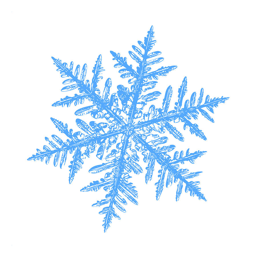 Snowflake vector - Silverware white Digital Art by Alexey Kljatov