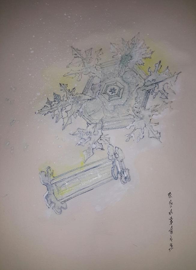 Snowflakes  Album Painting by Debbi Saccomanno Chan