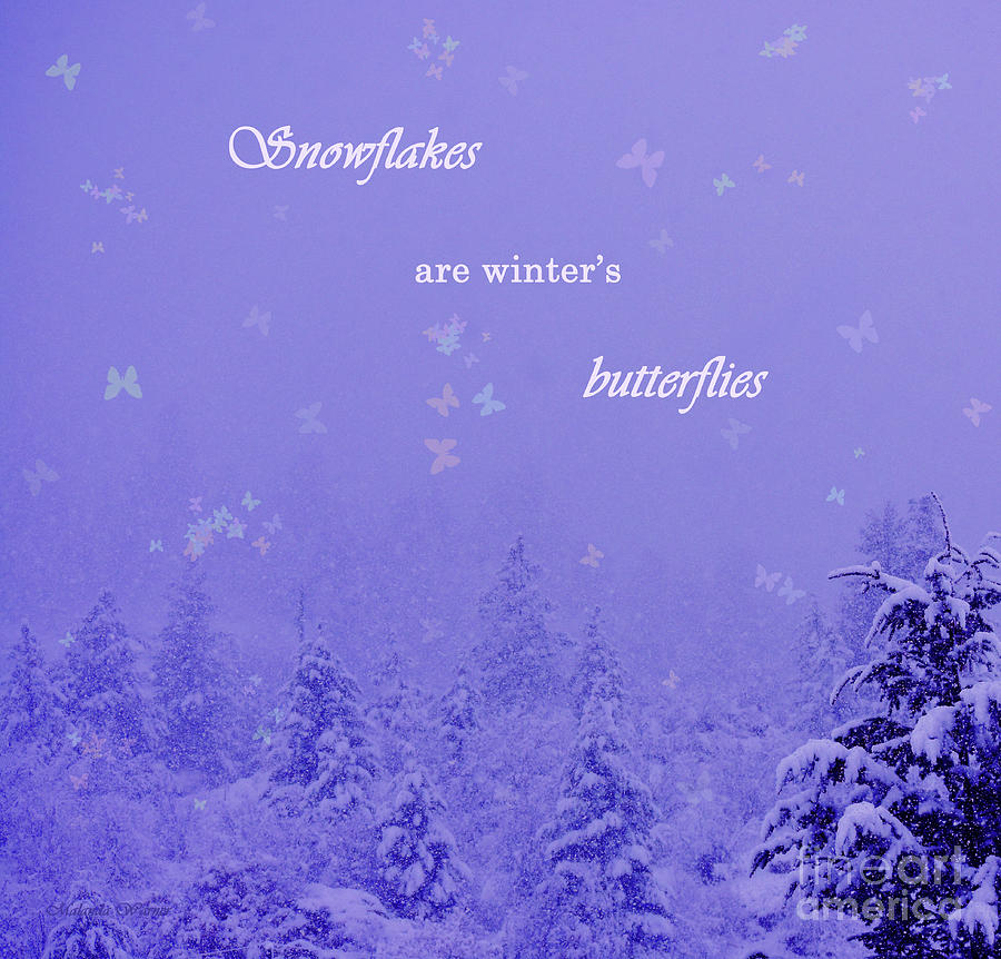 Snowflakes And Butterflies Photograph by Malanda Warner