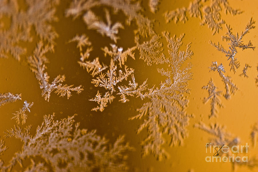 Abstract Photograph - Snowflakes by Susan Yates