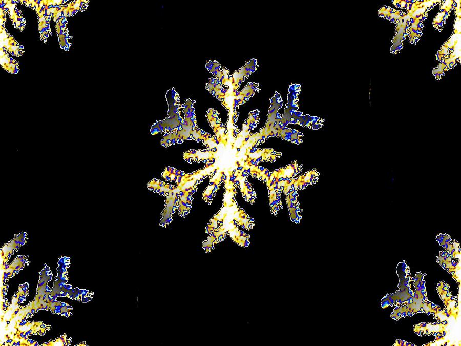 Snowflakes Photograph by Tim Allen
