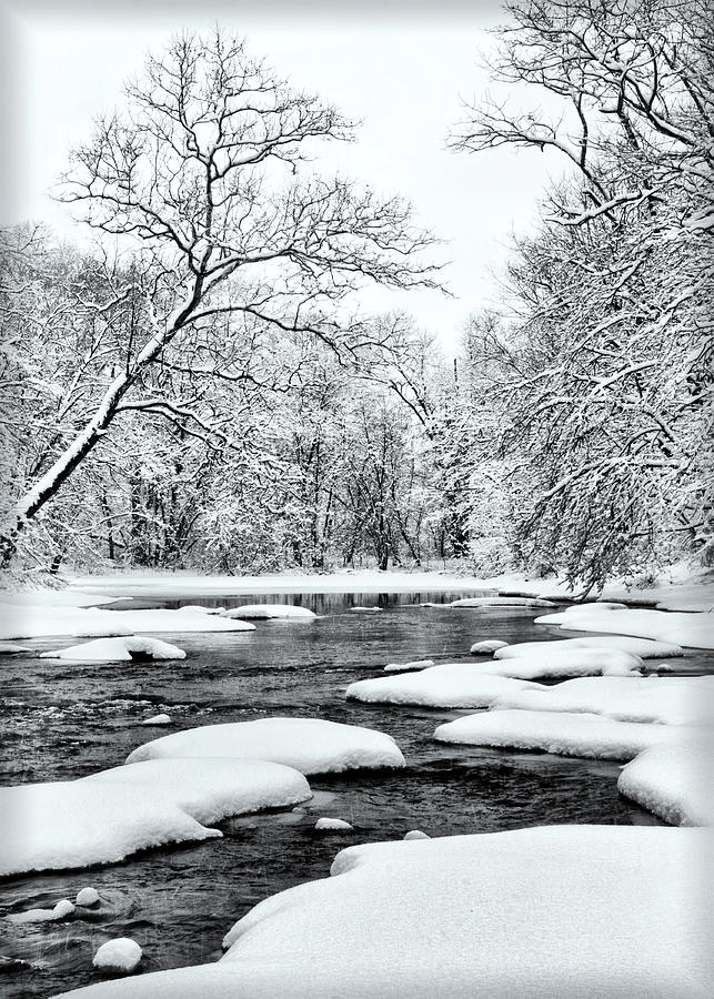 Snowing along the Creek Photograph by Carolyn Derstine