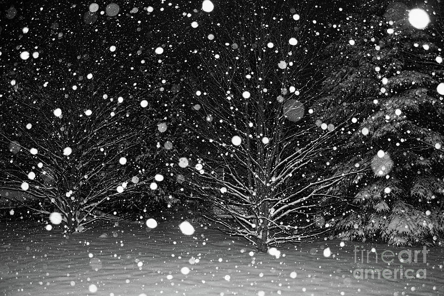 Snowing at Night Photograph by Barbara McMahon