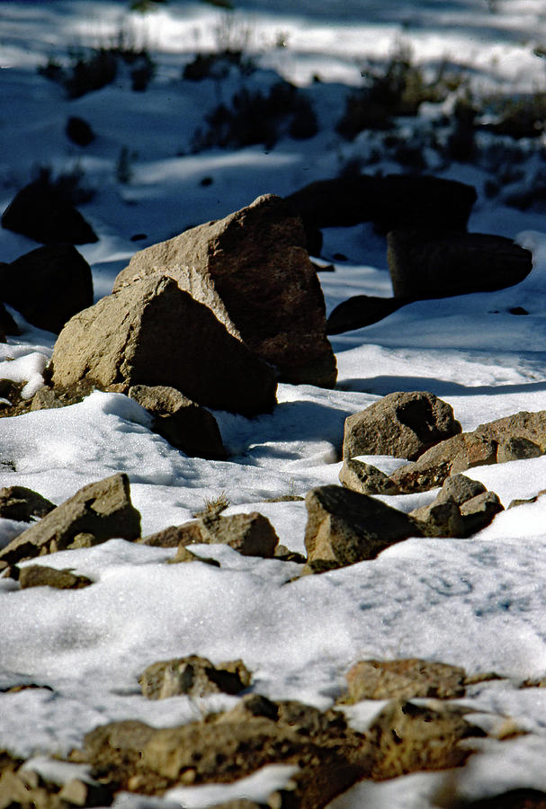 Snowline Photograph by John Schneider