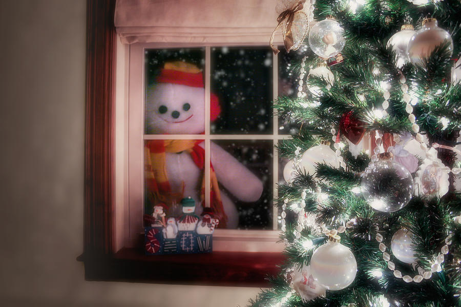 Snowman at the Window Photograph by Tom Mc Nemar