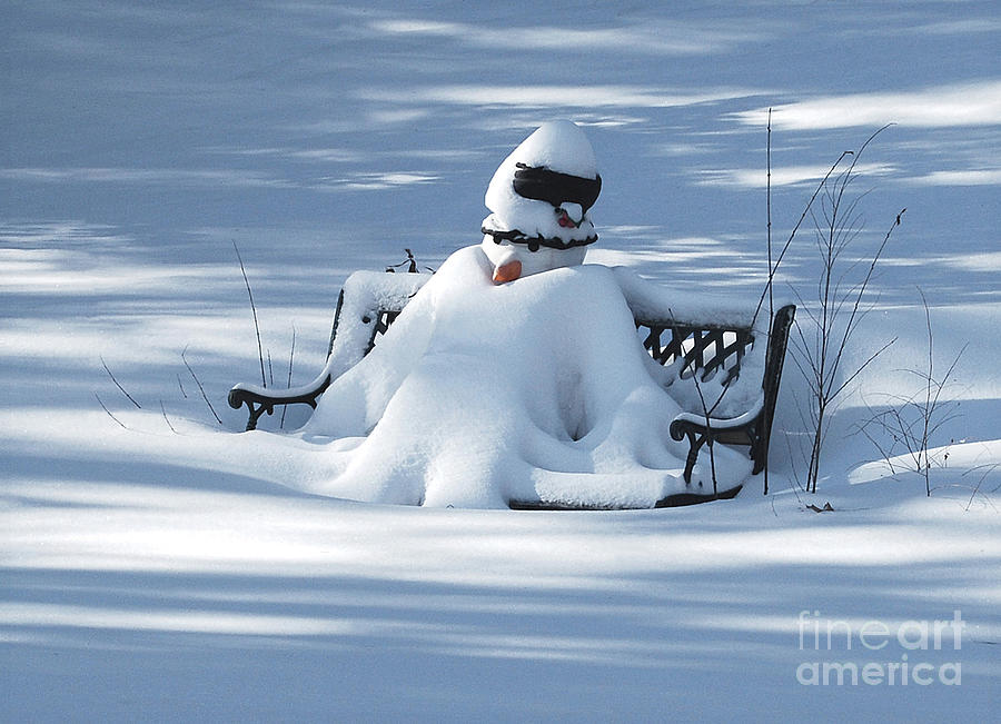 Snowman Basking In The Minnesota Sun Photograph by Ron Long