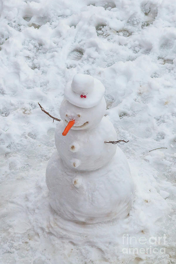 Snowman in winter Photograph by Benny Marty