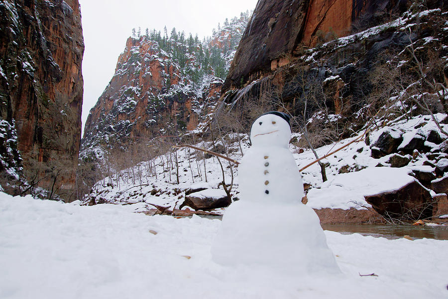 Snowman in Zion Photograph by Daniel Woodrum
