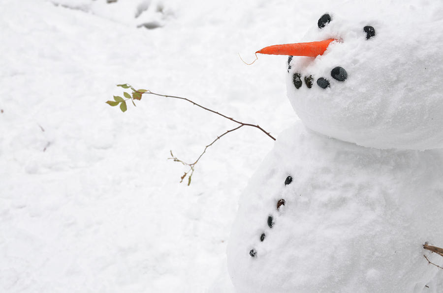 Snowman Photograph by Jeremy Voisey