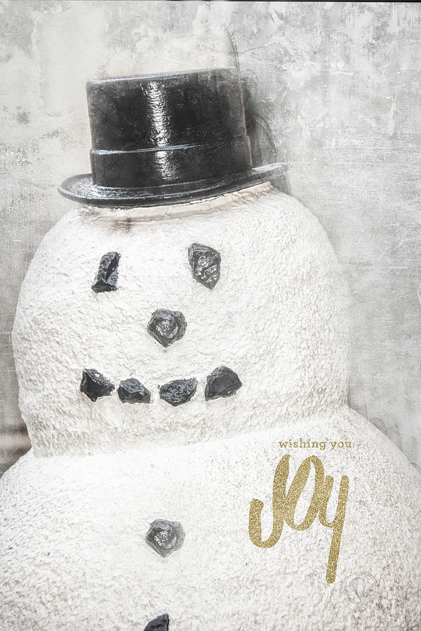 Snowman Joy Photograph by Pamela Williams