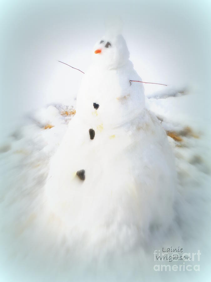 Snowman Photograph by Lainie Wrightson