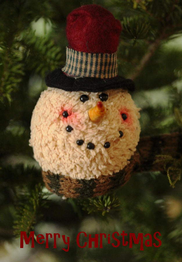 Snowman - Merry Christmas Photograph by Debbie Oppermann