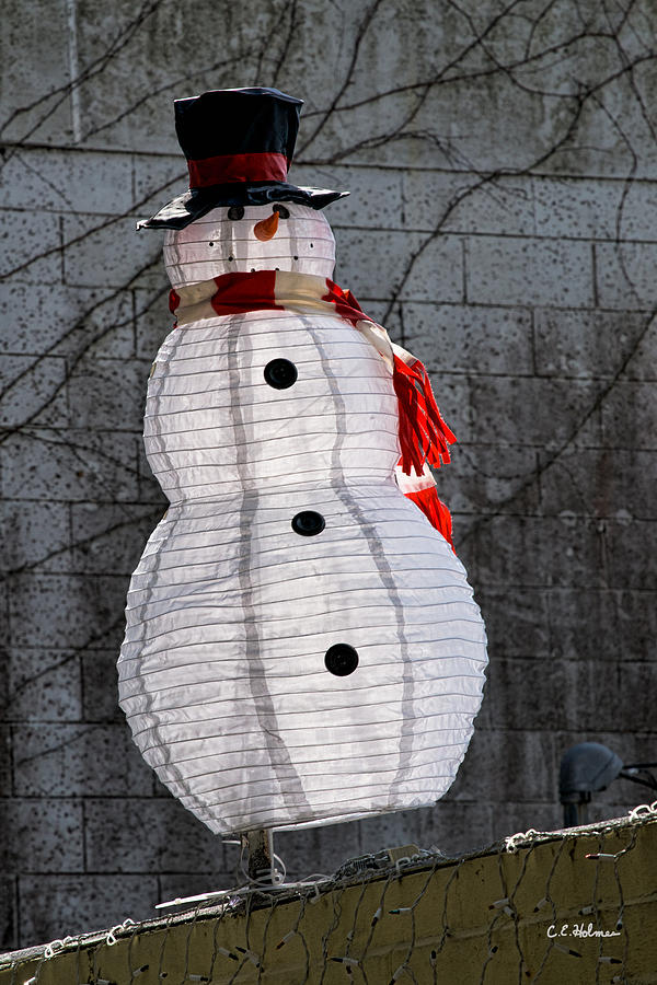 Snowman On The Roof Photograph by Christopher Holmes