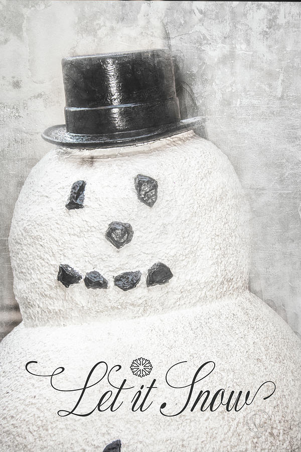 Snowman Photograph by Pamela Williams
