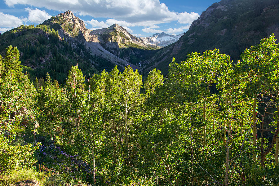 Snowmass Afternoon Photograph by Aaron Spong