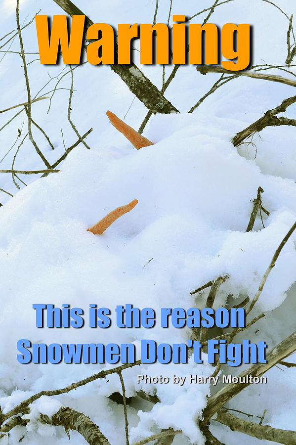 Snowmen Dont Fight Photograph by Harry Moulton