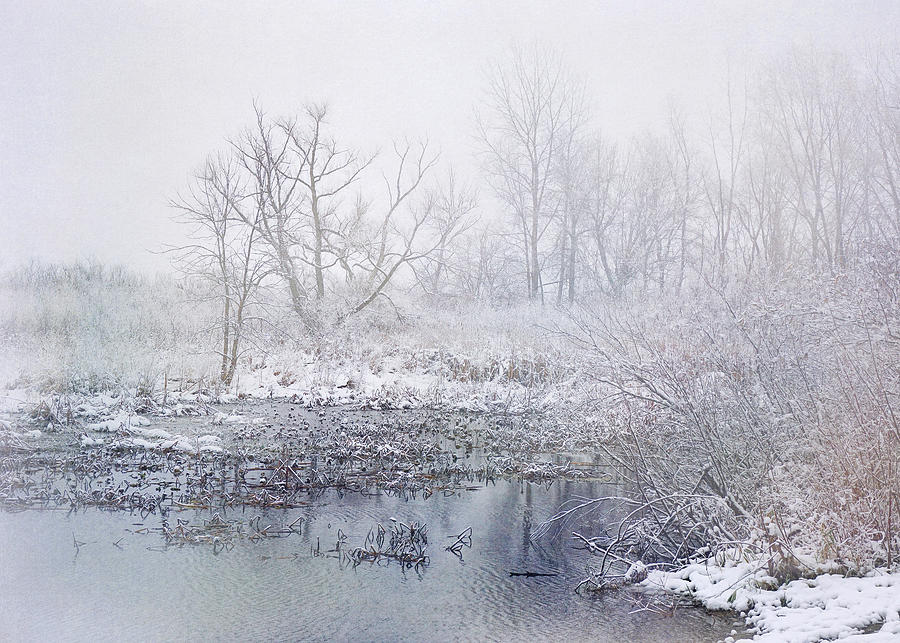 Snowmist Marsh Photograph by Kathi Mirto