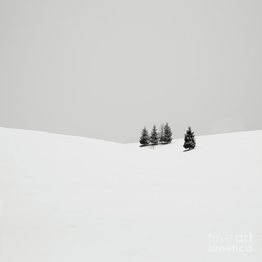 Snowscapes   Almost there Photograph by Ronny Behnert