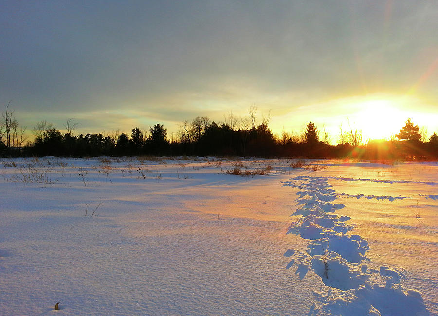 Snowshoers sunset 2 Photograph by Brook Burling