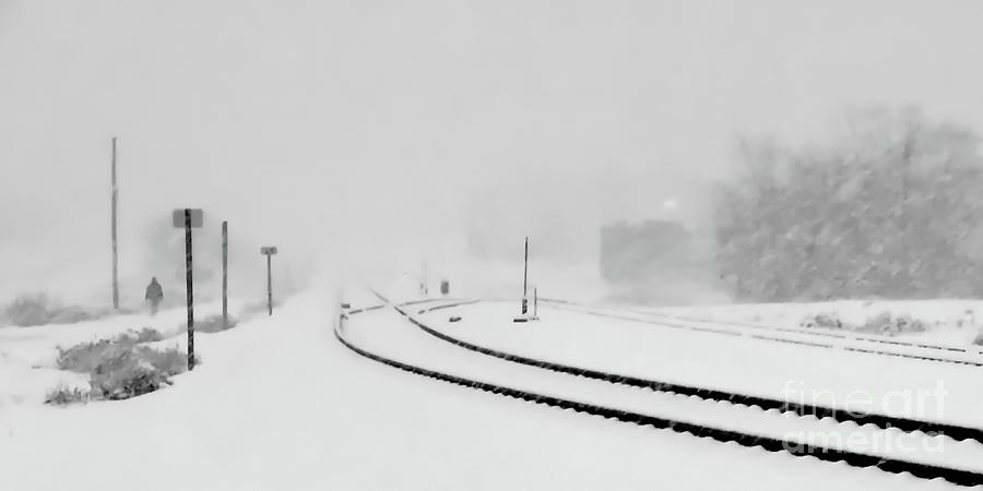 Snowstorm in the Yard BW Photograph by Tim Richards