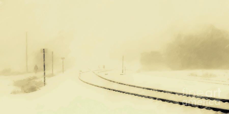 Winter Photograph - Snowstorm in the Yard S by Tim Richards