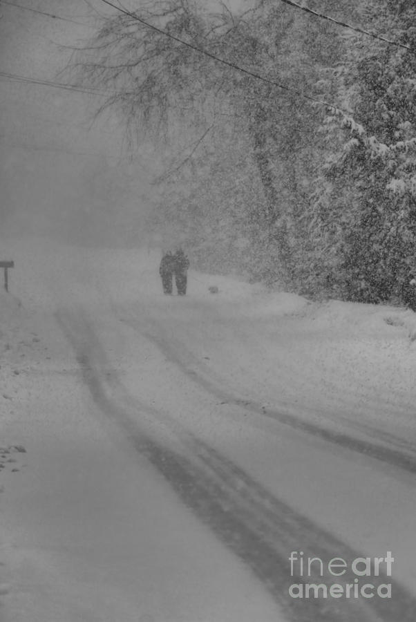 Snowstorm Stroll  Photograph by Elizabeth Dow