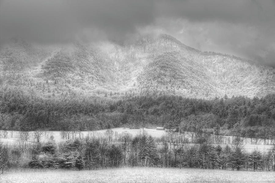 Snowy Afternoon In The Smokies Photograph by Mike Eingle