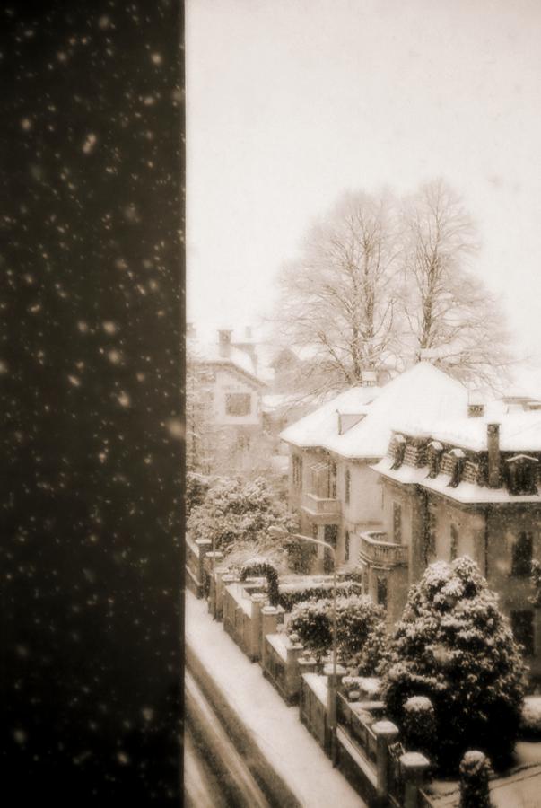 Snowy afternoon Photograph by Silvia Ganora