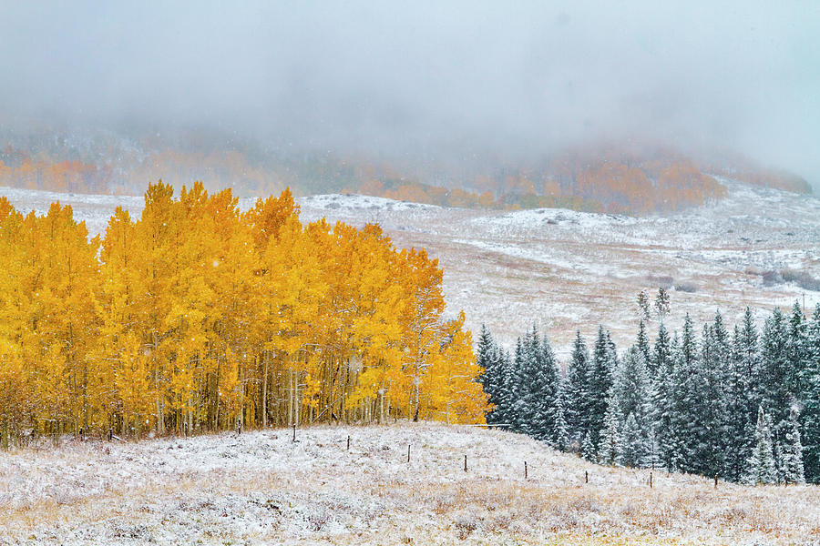 Snowy Autumn Scene in Crested Butte Colorado Photograph by Teri Virbickis