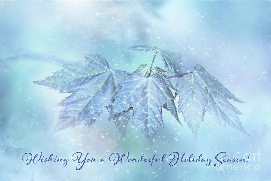 Snowy Baby Leaves Winter Holiday Card Photograph by Anita Pollak