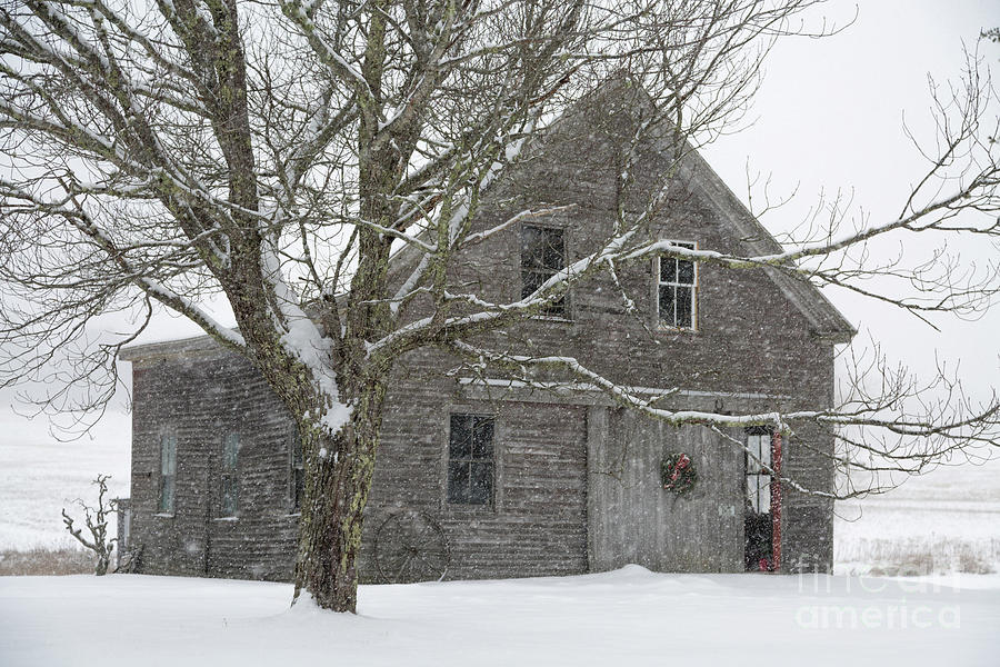 Snowy Barn Photograph by Karin Pinkham