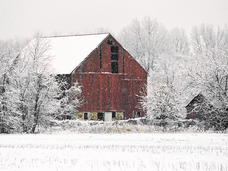 Winter Photograph - Snowy Barn by Kelly S Andrews