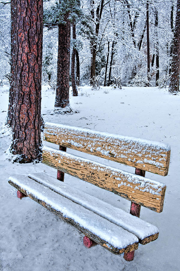 Snowy Bench Photograph by Dan Carmichael