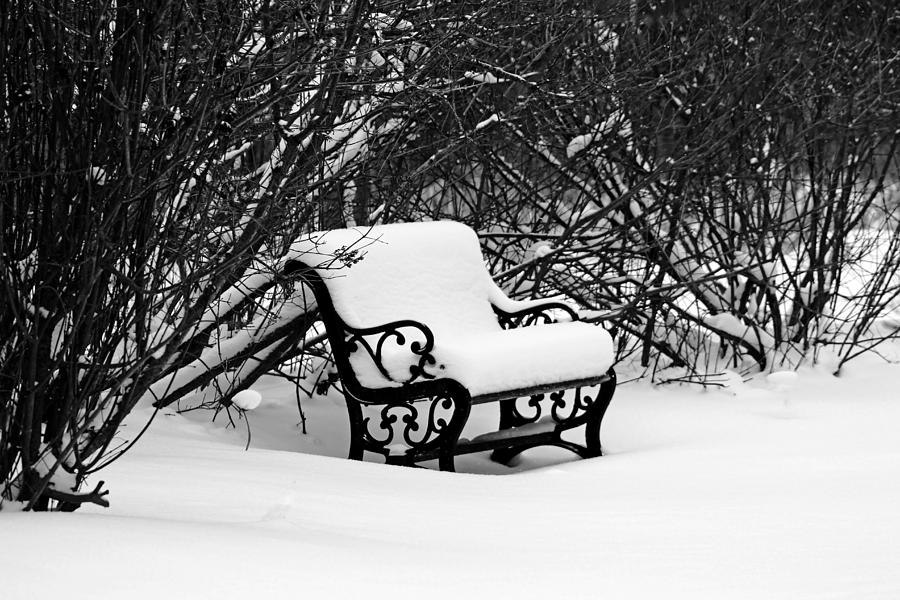 Snowy Bench In Black And White Photograph by Debbie Oppermann
